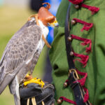 Dunakeszi Viadal – családi nap 2024 03 16 099