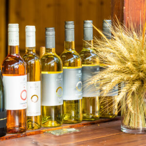 Katonadomb, Borsétány, Dunakeszi Szabadstrand