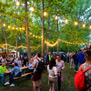 Katonadomb, Borsétány, Dunakeszi Szabadstrand