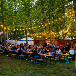 Katonadomb, Borsétány, Dunakeszi Szabadstrand