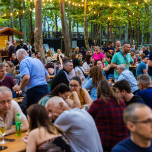 Katonadomb, Borsétány, Dunakeszi Szabadstrand