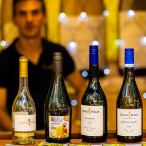 Katonadomb, Borsétány, Dunakeszi Szabadstrand