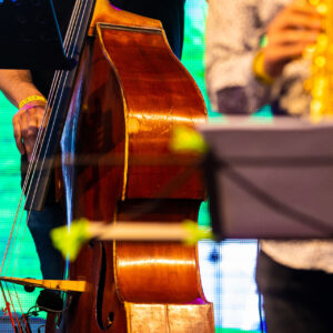 Katonadomb, Borsétány, Dunakeszi Szabadstrand