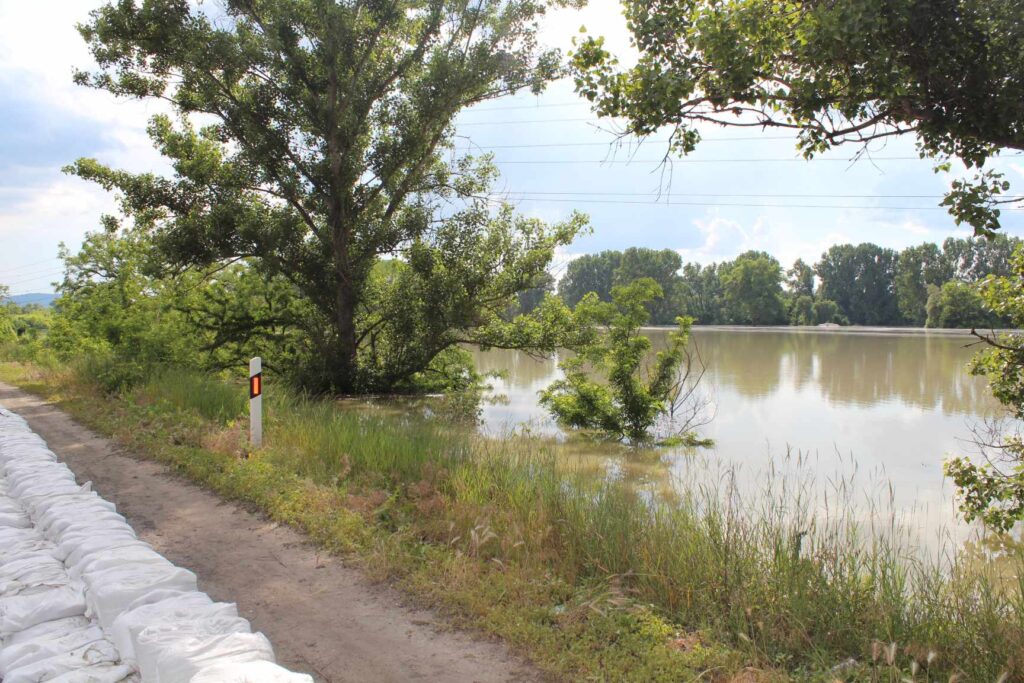 459225235_1496191175115761_4156913955136876900_n 459225235 1496191175115761 4156913955136876900 n