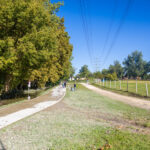 Árvíz 2024 09 22 001